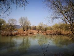 -长兴太湖图影湿地文化园