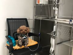 -萌兽医馆·绝育·24小时内科·宠物医院(德胜店)