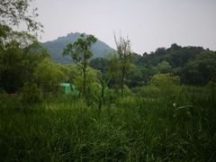 -西湖风景区-江洋畈生态公园