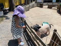 -前小桔亲子创意农场·草莓采摘·露营烧烤