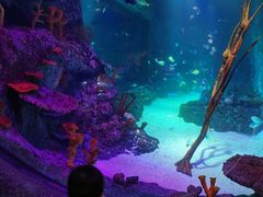 -沈阳海洋探索中心