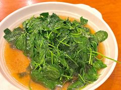 酒香菜头-牧羊餐厅