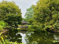 -中国科学院西双版纳热带植物园