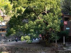 -严子陵钓台(富春江小三峡)