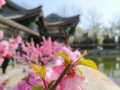 -颐和园