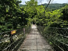 -海南热带雨林国家公园吊罗山景区