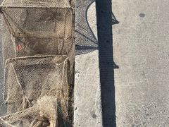 -芦潮港集贸市场