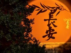 -福苗小骆驼烧烤(大唐不夜城店)