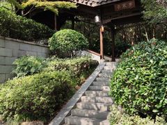 -杭州半山国家森林公园