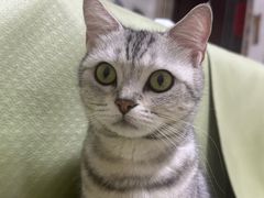 -万博宠物医院·手术·诊疗(未央凤城五路店)