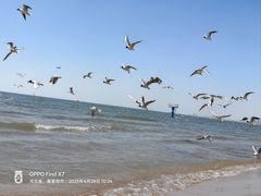 -老虎石海上公园