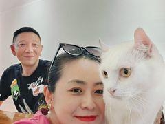 -有猫主题·治愈系猫咖(曾厝垵店)