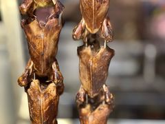-鸽子窝(青塔店)