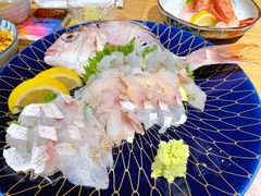 春鲷-达摩君日本料理(泰海花园小区店)