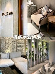 -VELEE·SPA高定疗愈会所
