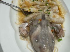 -眉州东坡(北苑华贸店)