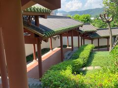 -广州神农草堂中医药博物馆