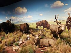 -陕西自然博物馆