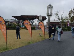 -上海长兴岛郊野公园