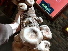 -谭鸭血老火锅(漳州路店)