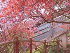 -岳西天峡风景区
