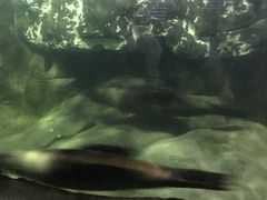-南昌海洋公园