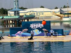 -秦皇岛乐岛海洋王国