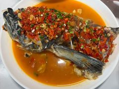 -全乐鱼馆·淳牌有机鱼直营店