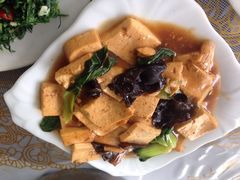 东大特种渔场-特种渔场