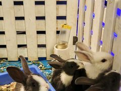 -太平洋海底世界