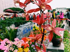 -重庆市江北嘴中央商务区中央公园