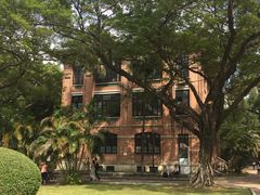 -中山大学学者灵芝(园南路店)