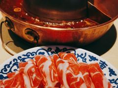 -东镇老火锅(长春路首店)