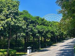 -南宁市凤岭儿童公园