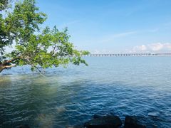 -宝安西湾红树林湿地公园