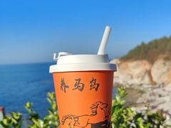 -养马岛旅游度假区
