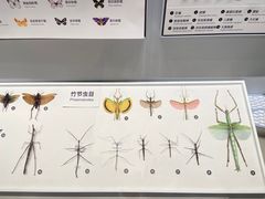 -四川大学博物馆