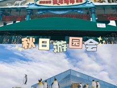 -海合安成都极地海洋公园