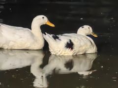 -西安市长乐公园