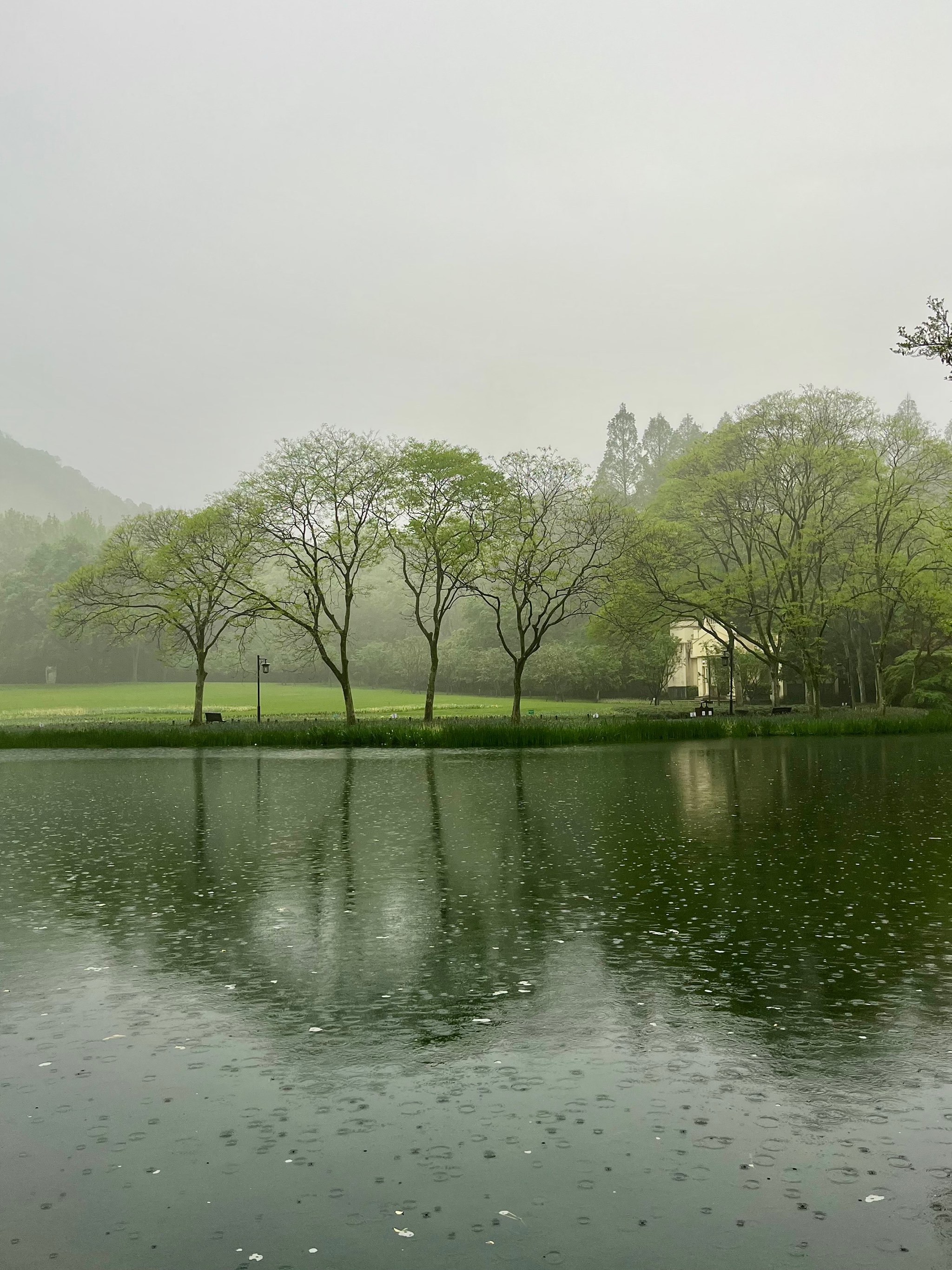 雨天风景照图片