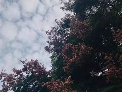 -月湖公园