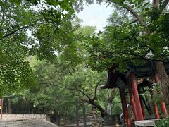 -千佛山风景名胜区