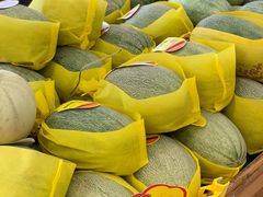 -乐乐鲜果水果超市(河北店)