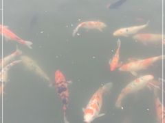 -文瀛公园
