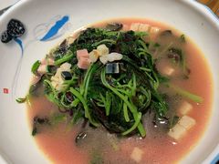 苋菜-吴越荣记苏州菜·松鼠桂鱼100%活鱼现做(斜塘老街店)
