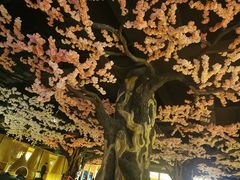 -蓝鲸湾汤泉(包河店)