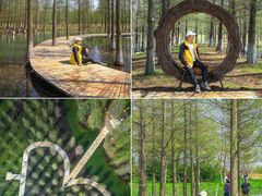 -泗洪洪泽湖湿地景区