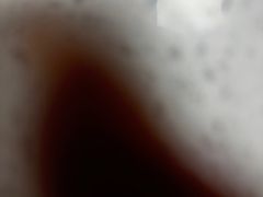 -德元·美联众合24小时动物医院(总院)