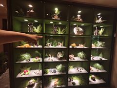 -慢丽江·云南野生菌土鸡锅(西山店)