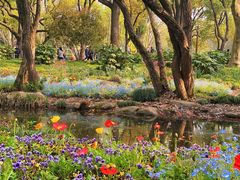 -上海共青森林公园